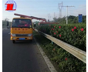 Green hedge trimmer